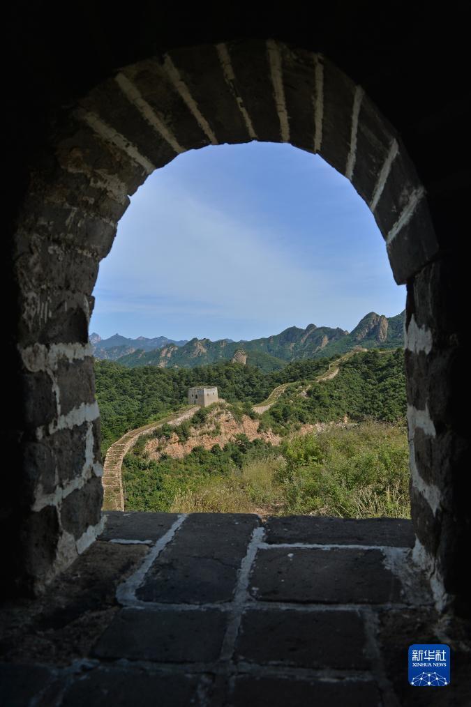 问鼎app下载
